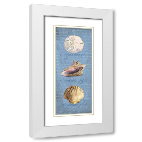 Oceanum Shell Panel Blue I White Modern Wood Framed Art Print with Double Matting by Reed, Tara