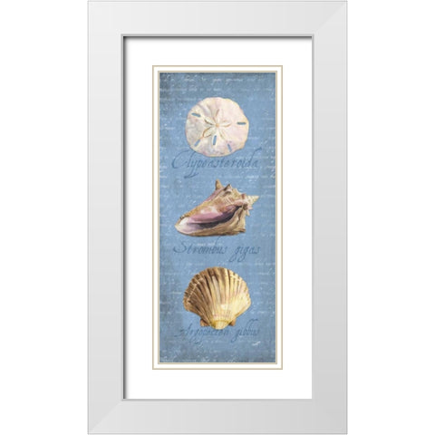 Oceanum Shell Panel Blue I White Modern Wood Framed Art Print with Double Matting by Reed, Tara