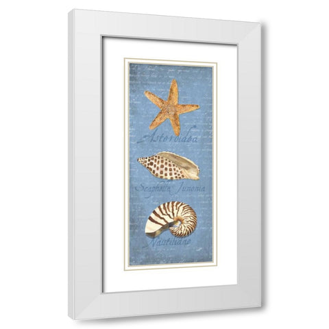 Oceanum Shell Panel Blue II White Modern Wood Framed Art Print with Double Matting by Reed, Tara