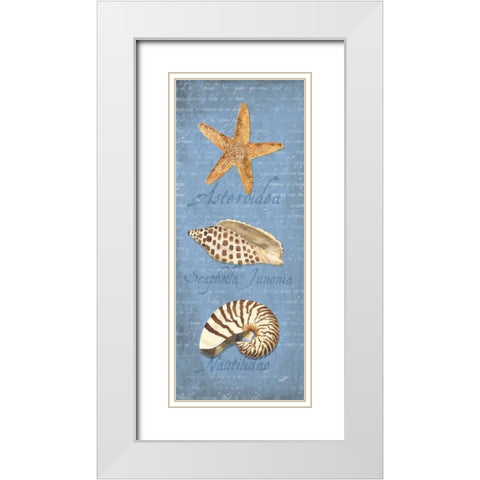 Oceanum Shell Panel Blue II White Modern Wood Framed Art Print with Double Matting by Reed, Tara