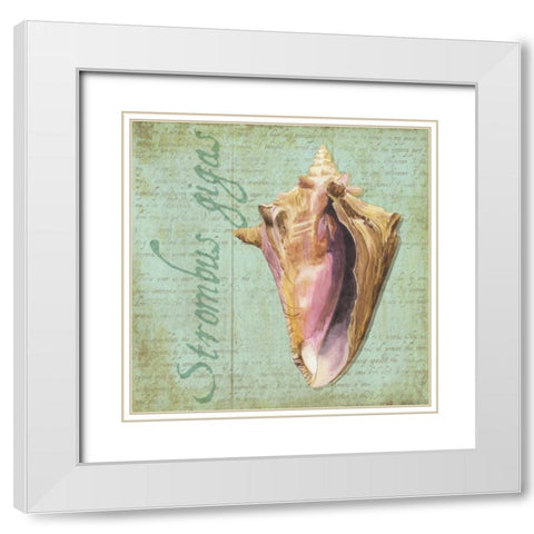 Oceanum Shells Green I White Modern Wood Framed Art Print with Double Matting by Reed, Tara