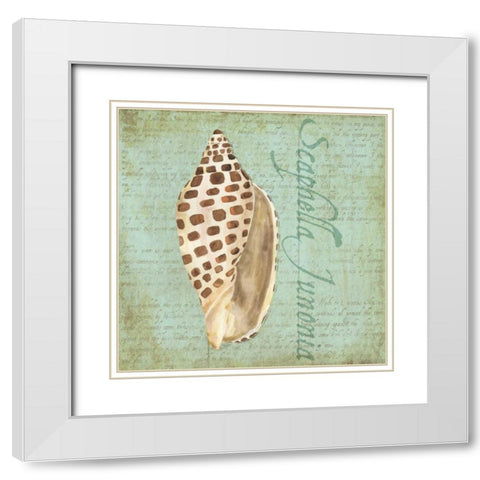 Oceanum Shells Green II White Modern Wood Framed Art Print with Double Matting by Reed, Tara