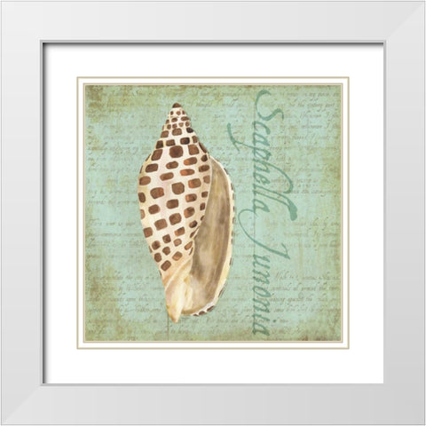 Oceanum Shells Green II White Modern Wood Framed Art Print with Double Matting by Reed, Tara