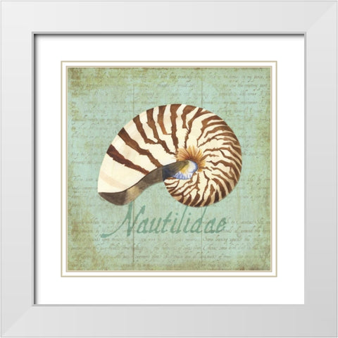 Oceanum Shells Green III White Modern Wood Framed Art Print with Double Matting by Reed, Tara