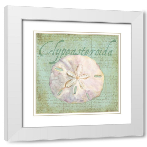 Oceanum Shells Green IV White Modern Wood Framed Art Print with Double Matting by Reed, Tara