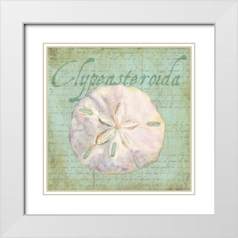 Oceanum Shells Green IV White Modern Wood Framed Art Print with Double Matting by Reed, Tara