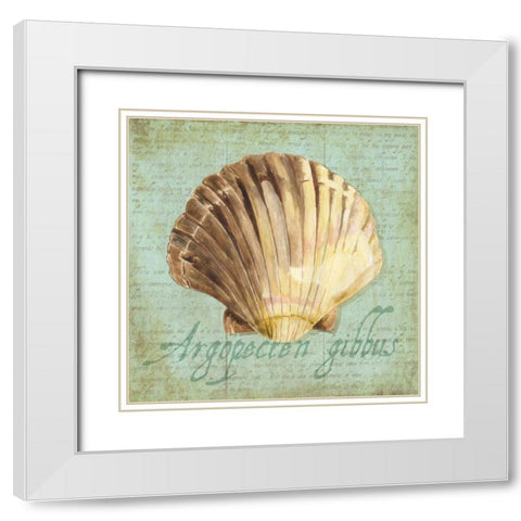 Oceanum Shells Green V White Modern Wood Framed Art Print with Double Matting by Reed, Tara