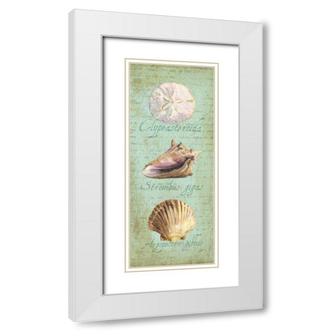 Oceanum Shell Panel Green I White Modern Wood Framed Art Print with Double Matting by Reed, Tara