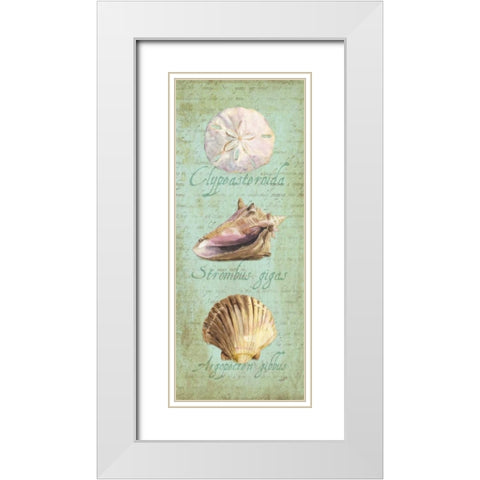 Oceanum Shell Panel Green I White Modern Wood Framed Art Print with Double Matting by Reed, Tara