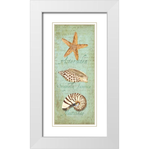 Oceanum Shell Panel Green II White Modern Wood Framed Art Print with Double Matting by Reed, Tara