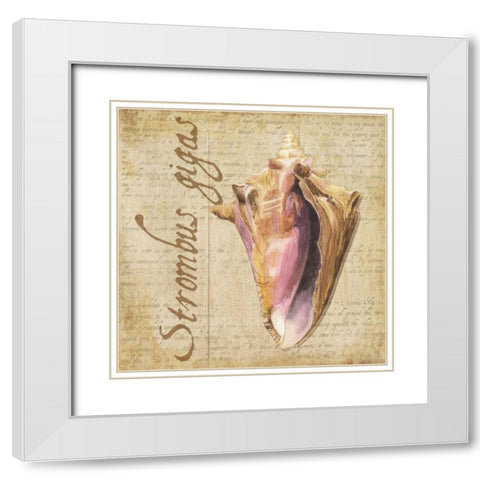 Oceanum Shells Beige I White Modern Wood Framed Art Print with Double Matting by Reed, Tara