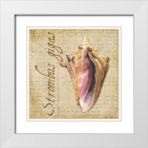 Oceanum Shells Beige I White Modern Wood Framed Art Print with Double Matting by Reed, Tara