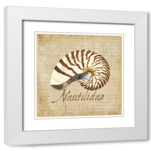 Oceanum Shells Beige III White Modern Wood Framed Art Print with Double Matting by Reed, Tara