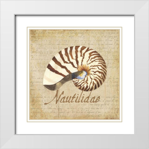 Oceanum Shells Beige III White Modern Wood Framed Art Print with Double Matting by Reed, Tara