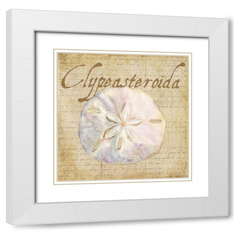 Oceanum Shells Beige IV White Modern Wood Framed Art Print with Double Matting by Reed, Tara