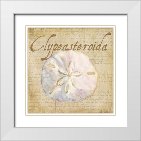 Oceanum Shells Beige IV White Modern Wood Framed Art Print with Double Matting by Reed, Tara