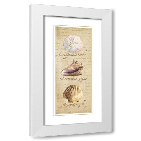 Oceanum Shell Panel Beige I White Modern Wood Framed Art Print with Double Matting by Reed, Tara