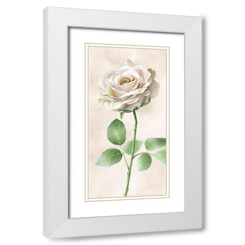 Ivory  Roses panel I White Modern Wood Framed Art Print with Double Matting by Wilson, Kelsey