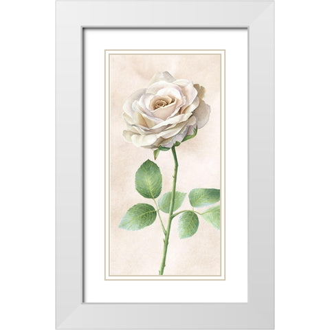 Ivory  Roses panel I White Modern Wood Framed Art Print with Double Matting by Wilson, Kelsey