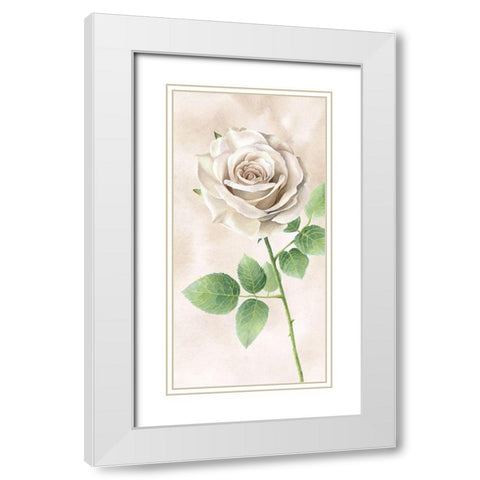 Ivory  Roses panel II White Modern Wood Framed Art Print with Double Matting by Wilson, Kelsey