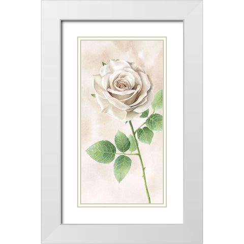 Ivory  Roses panel II White Modern Wood Framed Art Print with Double Matting by Wilson, Kelsey