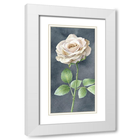 Ivory  Roses on gray panel I White Modern Wood Framed Art Print with Double Matting by Wilson, Kelsey