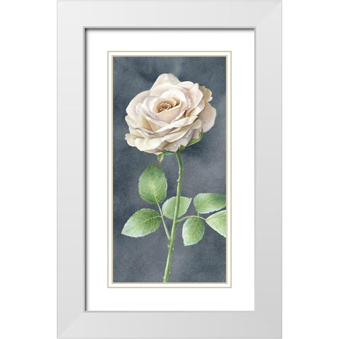 Ivory  Roses on gray panel I White Modern Wood Framed Art Print with Double Matting by Wilson, Kelsey