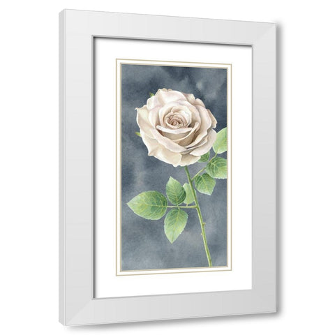 Ivory  Roses on gray panel II White Modern Wood Framed Art Print with Double Matting by Wilson, Kelsey