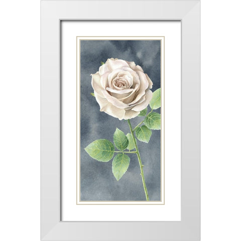 Ivory  Roses on gray panel II White Modern Wood Framed Art Print with Double Matting by Wilson, Kelsey