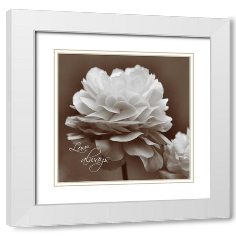 Sepia Blossoms II White Modern Wood Framed Art Print with Double Matting by Romita, Denise