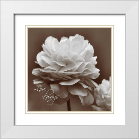Sepia Blossoms II White Modern Wood Framed Art Print with Double Matting by Romita, Denise