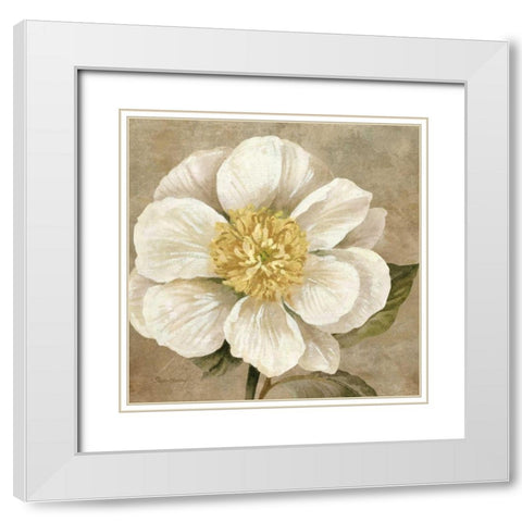 Up Close Cream Rose White Modern Wood Framed Art Print with Double Matting by Gladding, Pamela