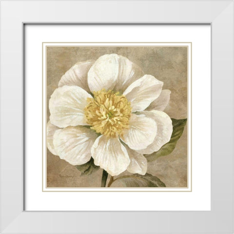 Up Close Cream Rose White Modern Wood Framed Art Print with Double Matting by Gladding, Pamela