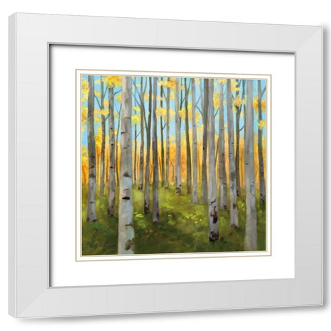 Birch Woods I White Modern Wood Framed Art Print with Double Matting by Milan, Vittorio