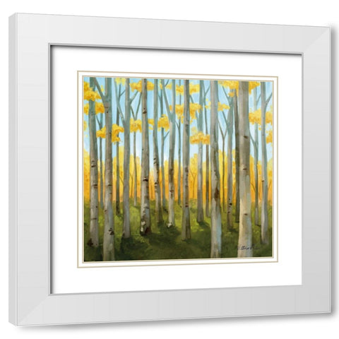 Birch Woods II White Modern Wood Framed Art Print with Double Matting by Milan, Vittorio