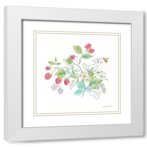 Berries and Bees V White Modern Wood Framed Art Print with Double Matting by Coulter, Cynthia
