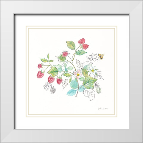 Berries and Bees V White Modern Wood Framed Art Print with Double Matting by Coulter, Cynthia