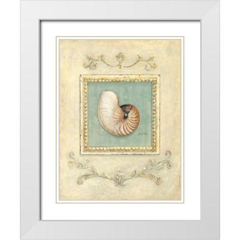 Classic Seashell Detail White Modern Wood Framed Art Print with Double Matting by Fisk, Arnie