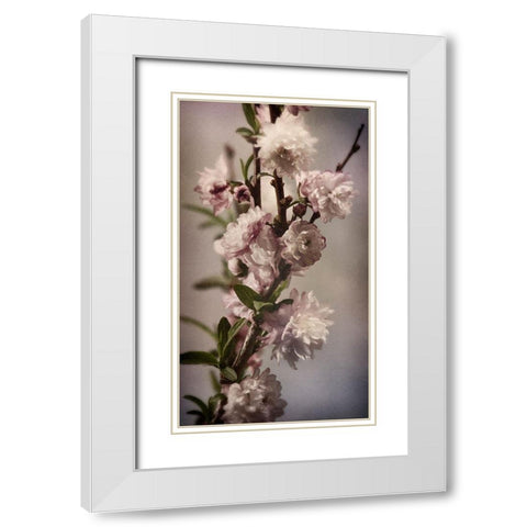 Blossoming Almond 1 White Modern Wood Framed Art Print with Double Matting by Greenwood, Julie