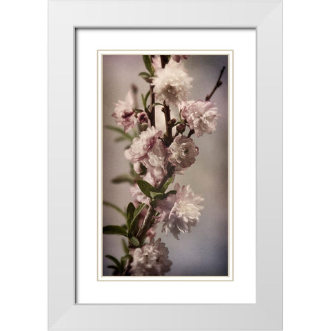 Blossoming Almond 1 White Modern Wood Framed Art Print with Double Matting by Greenwood, Julie