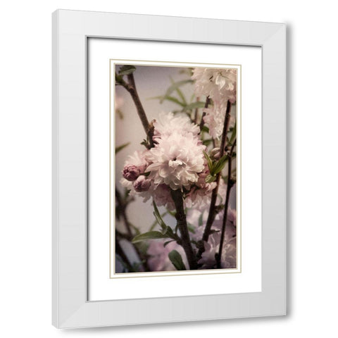 Blossoming Almond 2 White Modern Wood Framed Art Print with Double Matting by Greenwood, Julie