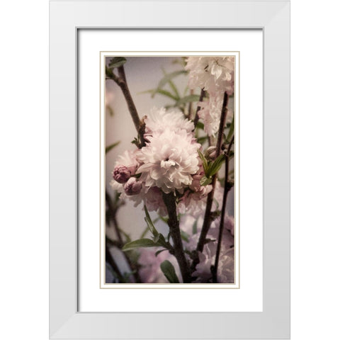 Blossoming Almond 2 White Modern Wood Framed Art Print with Double Matting by Greenwood, Julie