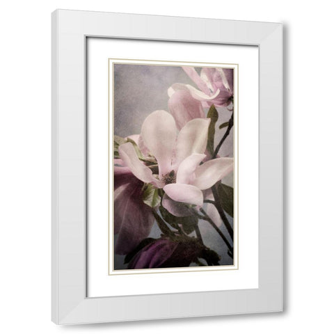 Magnolia Memories 1 White Modern Wood Framed Art Print with Double Matting by Greenwood, Julie