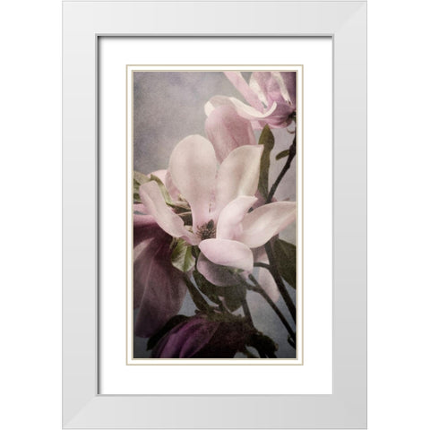 Magnolia Memories 1 White Modern Wood Framed Art Print with Double Matting by Greenwood, Julie