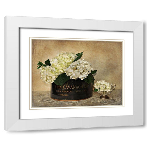 Park Avenue Hydrangea White Modern Wood Framed Art Print with Double Matting by Atria, Cristin