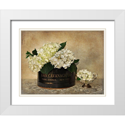 Park Avenue Hydrangea White Modern Wood Framed Art Print with Double Matting by Atria, Cristin