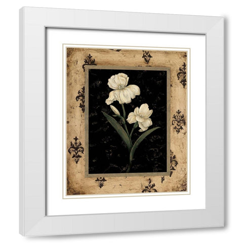 Silver Iris White Modern Wood Framed Art Print with Double Matting by Andrew, Regina