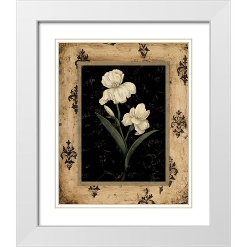 Silver Iris White Modern Wood Framed Art Print with Double Matting by Andrew, Regina