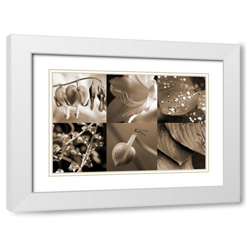 Garden Path White Modern Wood Framed Art Print with Double Matting by Amber Light Gallery