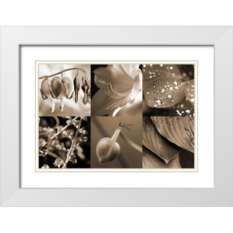 Garden Path White Modern Wood Framed Art Print with Double Matting by Amber Light Gallery